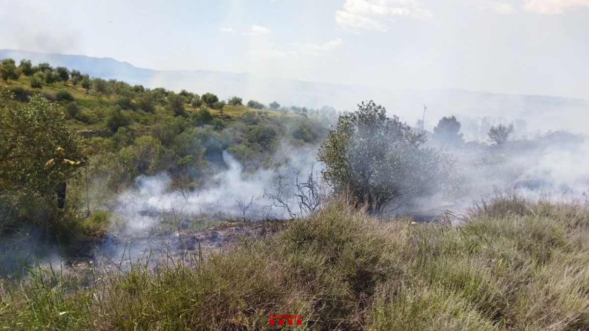 Un incendio ya estabilizado quema 25 hectáreas de bosque de ribera en Seròs (Lleida)